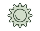 Gartenabo Premium Rundum-Sorglos-Garten Gartenabo Premium Rundum-Sorglos-Garten